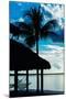 The Hammock and Palm Tree at Sunset - Beach Hut - Florida-Philippe Hugonnard-Mounted Photographic Print