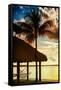 The Hammock and Palm Tree at Sunset - Beach Hut - Florida-Philippe Hugonnard-Framed Stretched Canvas