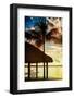 The Hammock and Palm Tree at Sunset - Beach Hut - Florida-Philippe Hugonnard-Framed Photographic Print