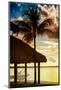 The Hammock and Palm Tree at Sunset - Beach Hut - Florida-Philippe Hugonnard-Mounted Photographic Print