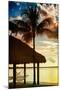 The Hammock and Palm Tree at Sunset - Beach Hut - Florida-Philippe Hugonnard-Mounted Photographic Print