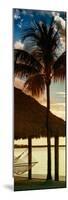 The Hammock and Palm Tree at Sunset - Beach Hut - Florida-Philippe Hugonnard-Mounted Photographic Print