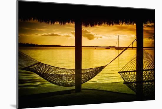 The Hammocks at Sunset - Florida-Philippe Hugonnard-Mounted Photographic Print