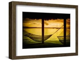 The Hammocks at Sunset - Florida-Philippe Hugonnard-Framed Photographic Print