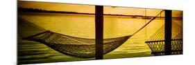 The Hammocks at Sunset - Florida-Philippe Hugonnard-Mounted Photographic Print