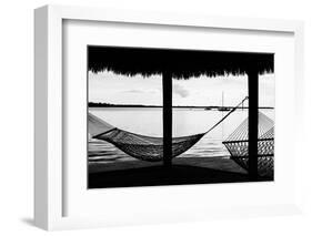 The Hammocks - Florida-Philippe Hugonnard-Framed Photographic Print