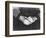 The Hands of Assunta Modotti, San Francisco, 1923-Tina Modotti-Framed Photographic Print