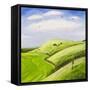 The Hang Glider-Chris Ross Williamson-Framed Stretched Canvas