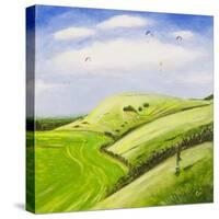 The Hang Glider-Chris Ross Williamson-Stretched Canvas