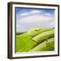 The Hang Glider-Chris Ross Williamson-Framed Giclee Print