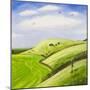 The Hang Glider-Chris Ross Williamson-Mounted Giclee Print