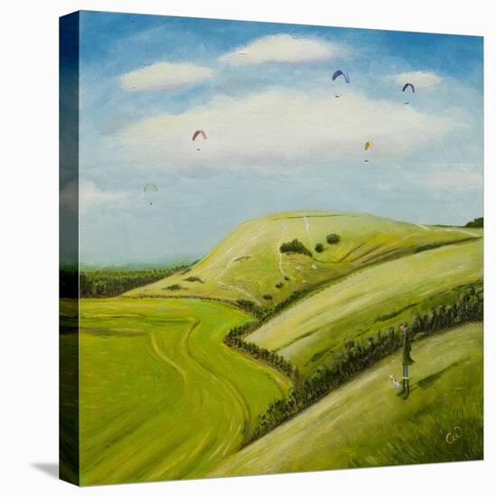 The Hang Gliders-Chris Ross Williamson-Stretched Canvas