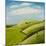 The Hang Gliders-Chris Ross Williamson-Mounted Giclee Print