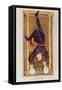 The Hanged Man, Tarot Card, French-null-Framed Stretched Canvas