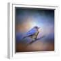 The Happiest Blue-Jai Johnson-Framed Giclee Print