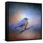 The Happiest Blue-Jai Johnson-Framed Stretched Canvas