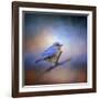 The Happiest Blue-Jai Johnson-Framed Giclee Print