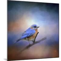 The Happiest Blue-Jai Johnson-Mounted Giclee Print