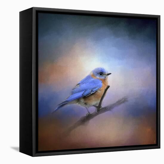 The Happiest Blue-Jai Johnson-Framed Stretched Canvas