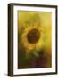 The Happiest Flower-Jai Johnson-Framed Giclee Print