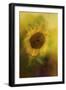 The Happiest Flower-Jai Johnson-Framed Giclee Print