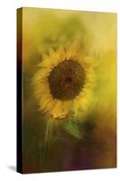 The Happiest Flower-Jai Johnson-Stretched Canvas