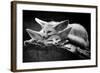 The Happy Couple-Inna Blar-Framed Giclee Print