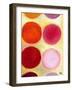 The Happy Dots 6, 2014,-Nancy Moniz Charalambous-Framed Giclee Print