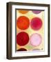 The Happy Dots 6, 2014,-Nancy Moniz Charalambous-Framed Giclee Print