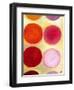 The Happy Dots 6, 2014,-Nancy Moniz Charalambous-Framed Giclee Print