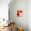 The Happy Dots 6, 2014-Nancy Moniz-Giclee Print displayed on a wall