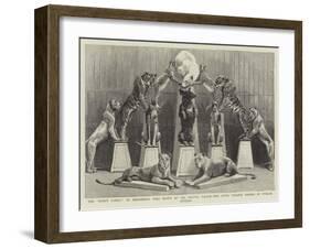 The Happy Family of Performing Wild Beasts at the Crystal Palace-null-Framed Giclee Print