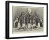 The Happy Family of Performing Wild Beasts at the Crystal Palace-null-Framed Giclee Print