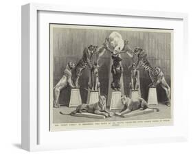 The Happy Family of Performing Wild Beasts at the Crystal Palace-null-Framed Giclee Print