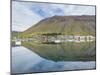 The harbor. Isafjordur, the capital of the Westfjords, Iceland.-Martin Zwick-Mounted Photographic Print