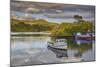 The harbour at Glengarriff, County Cork, Munster, Republic of Ireland, Europe-Nigel Hicks-Mounted Photographic Print