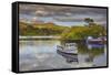 The harbour at Glengarriff, County Cork, Munster, Republic of Ireland, Europe-Nigel Hicks-Framed Stretched Canvas