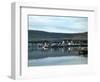 The Harbour at Portmagee on the Ring of Kerry, County Kerry, Ireland-null-Framed Photographic Print