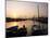 The Harbour at Sunrise, Puerto Pollensa, Mallorca (Majorca), Balearic Islands, Spain, Mediterranean-Ruth Tomlinson-Mounted Photographic Print
