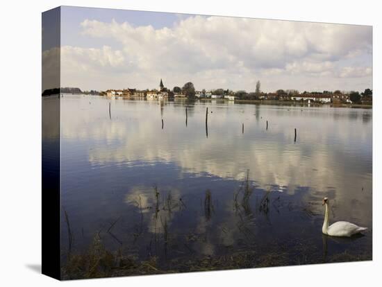 The Harbour, Bosham, Near Chichester, West Sussex, England, United Kingdom, Europe-Jean Brooks-Stretched Canvas