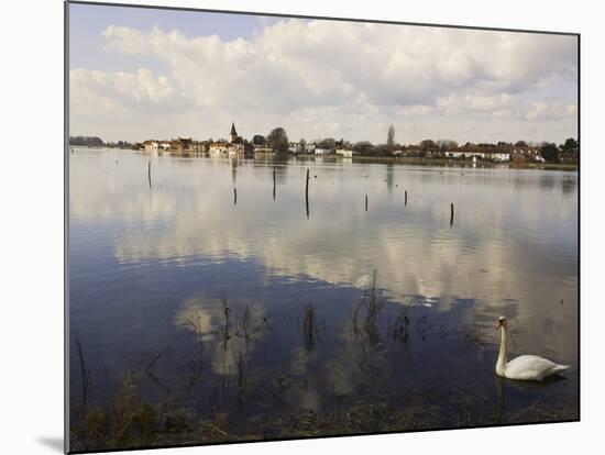 The Harbour, Bosham, Near Chichester, West Sussex, England, United Kingdom, Europe-Jean Brooks-Mounted Photographic Print