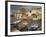 The Harbour, Centauri Port, Corsica, France-Michael Busselle-Framed Photographic Print