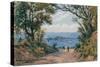 The Harbour, from Langmoor Gardens, Lyme Regis-Alfred Robert Quinton-Stretched Canvas