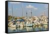 The harbour in Paphos, Cyprus-Chris Mouyiaris-Framed Stretched Canvas