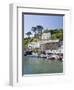 The Harbour in Polperro in Cornwall, England, United Kingdom, Europe-David Clapp-Framed Photographic Print