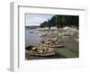 The Harbour, Minehead, Somerset, England, United Kingdom-Chris Nicholson-Framed Photographic Print