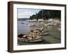 The Harbour, Minehead, Somerset, England, United Kingdom-Chris Nicholson-Framed Photographic Print