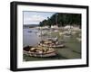 The Harbour, Minehead, Somerset, England, United Kingdom-Chris Nicholson-Framed Photographic Print