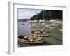 The Harbour, Minehead, Somerset, England, United Kingdom-Chris Nicholson-Framed Photographic Print