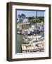 The Harbour, Polperro, Cornwall, England, United Kingdom, Europe-David Clapp-Framed Photographic Print